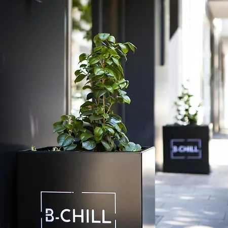 B-chill 4*